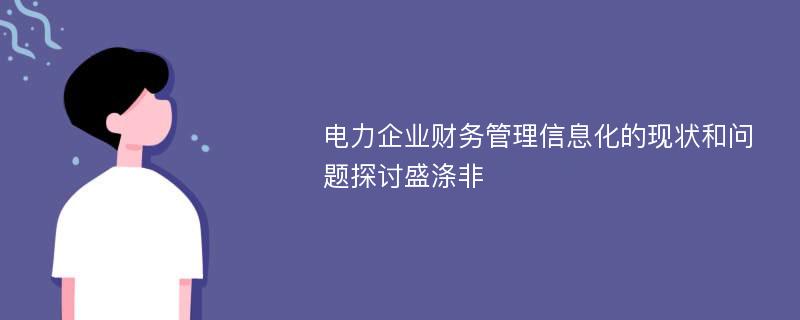 电力企业财务管理信息化的现状和问题探讨盛涤非