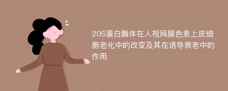 20S蛋白酶体在人视网膜色素上皮细胞老化中的改变及其在诱导衰老中的作用