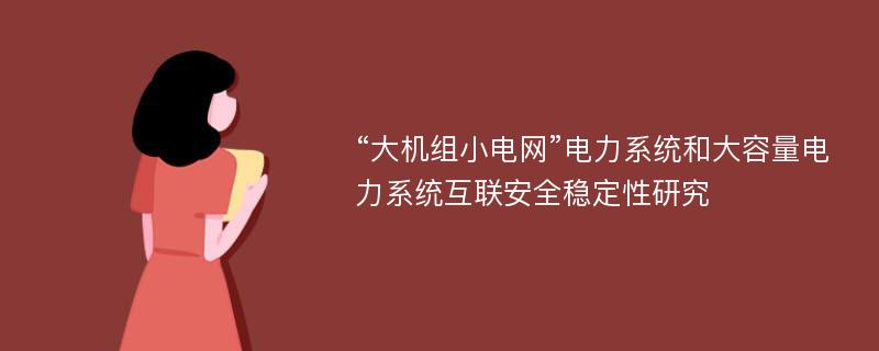 “大机组小电网”电力系统和大容量电力系统互联安全稳定性研究