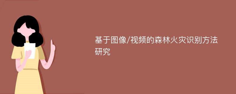 基于图像/视频的森林火灾识别方法研究