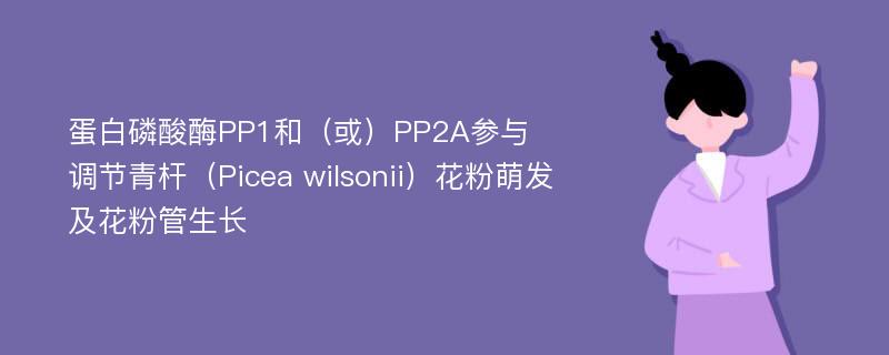 蛋白磷酸酶PP1和（或）PP2A参与调节青杆（Picea wilsonii）花粉萌发及花粉管生长