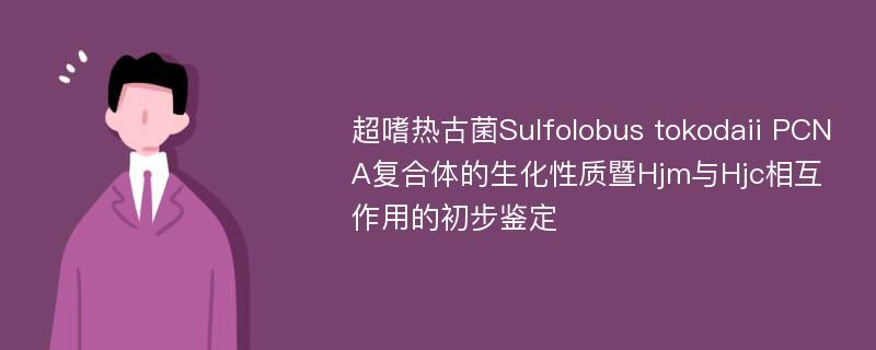 超嗜热古菌Sulfolobus tokodaii PCNA复合体的生化性质暨Hjm与Hjc相互作用的初步鉴定