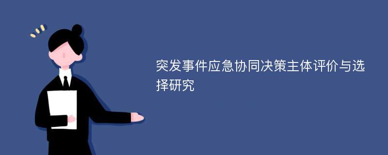 突发事件应急协同决策主体评价与选择研究