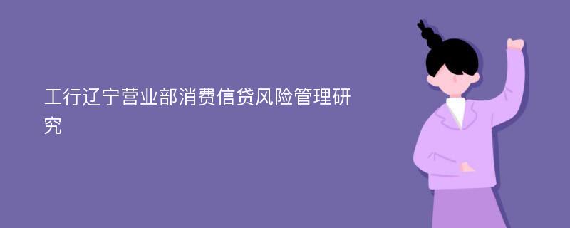 工行辽宁营业部消费信贷风险管理研究