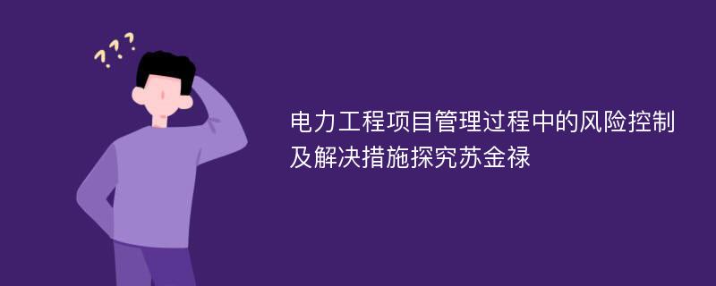 电力工程项目管理过程中的风险控制及解决措施探究苏金禄