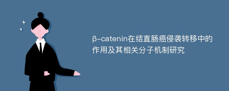 β-catenin在结直肠癌侵袭转移中的作用及其相关分子机制研究