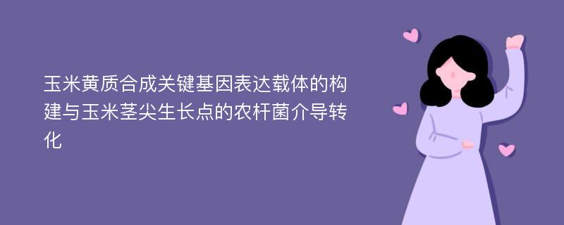 玉米黄质合成关键基因表达载体的构建与玉米茎尖生长点的农杆菌介导转化