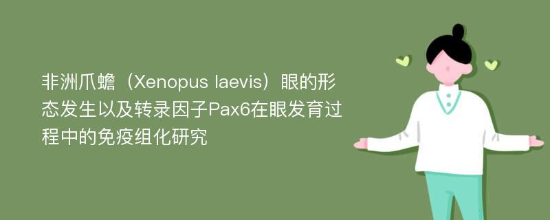 非洲爪蟾（Xenopus laevis）眼的形态发生以及转录因子Pax6在眼发育过程中的免疫组化研究