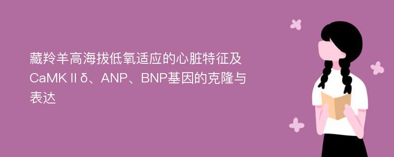 藏羚羊高海拔低氧适应的心脏特征及CaMKⅡδ、ANP、BNP基因的克隆与表达