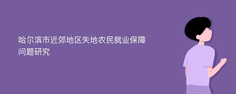 哈尔滨市近郊地区失地农民就业保障问题研究