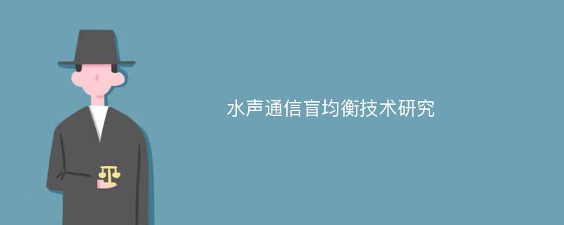 水声通信盲均衡技术研究