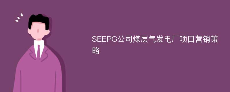 SEEPG公司煤层气发电厂项目营销策略