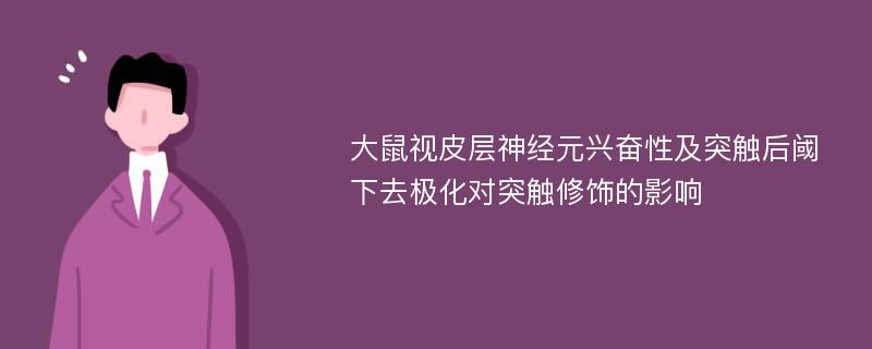 大鼠视皮层神经元兴奋性及突触后阈下去极化对突触修饰的影响