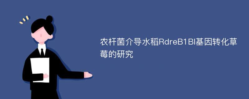 农杆菌介导水稻RdreB1BI基因转化草莓的研究