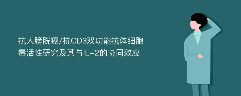 抗人膀胱癌/抗CD3双功能抗体细胞毒活性研究及其与IL-2的协同效应