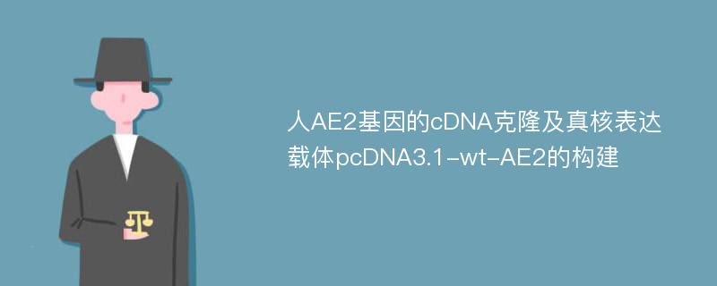 人AE2基因的cDNA克隆及真核表达载体pcDNA3.1-wt-AE2的构建