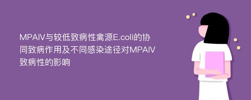 MPAIV与较低致病性禽源E.coli的协同致病作用及不同感染途径对MPAIV致病性的影响