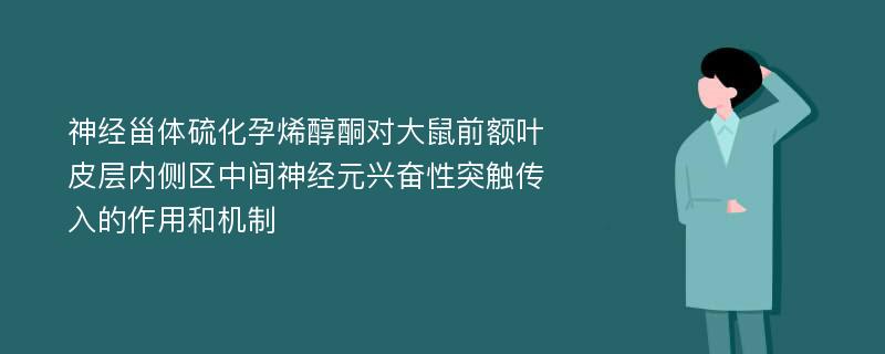 神经甾体硫化孕烯醇酮对大鼠前额叶皮层内侧区中间神经元兴奋性突触传入的作用和机制