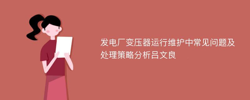 发电厂变压器运行维护中常见问题及处理策略分析吕文良