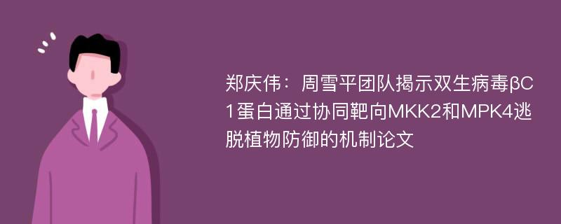 郑庆伟：周雪平团队揭示双生病毒βC1蛋白通过协同靶向MKK2和MPK4逃脱植物防御的机制论文