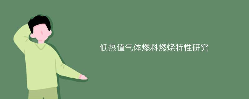 低热值气体燃料燃烧特性研究