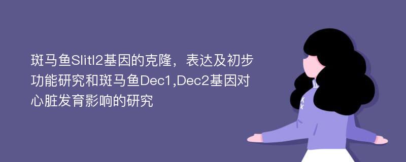 斑马鱼Slitl2基因的克隆，表达及初步功能研究和斑马鱼Dec1,Dec2基因对心脏发育影响的研究