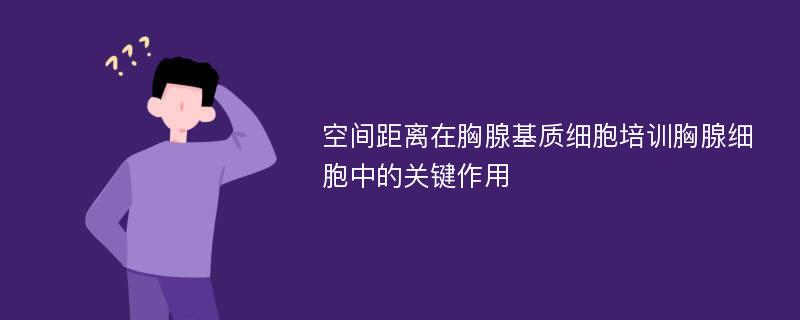 空间距离在胸腺基质细胞培训胸腺细胞中的关键作用