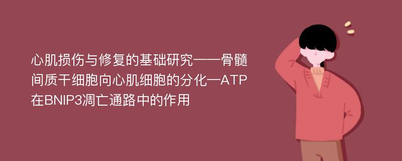 心肌损伤与修复的基础研究——骨髓间质干细胞向心肌细胞的分化—ATP在BNIP3凋亡通路中的作用