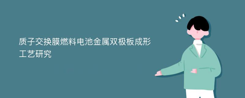 质子交换膜燃料电池金属双极板成形工艺研究