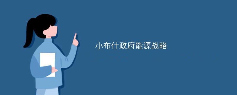 小布什政府能源战略