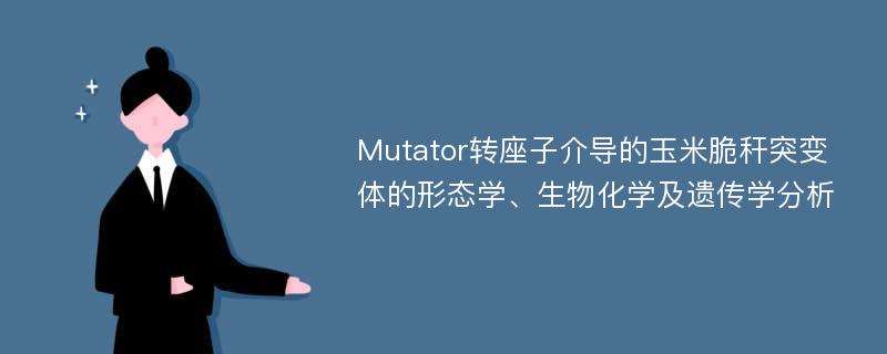 Mutator转座子介导的玉米脆秆突变体的形态学、生物化学及遗传学分析