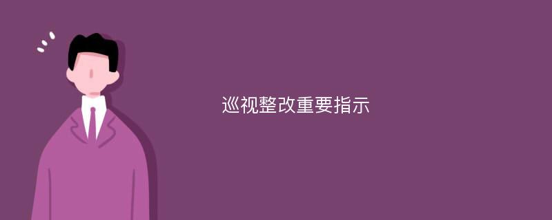 巡视整改重要指示