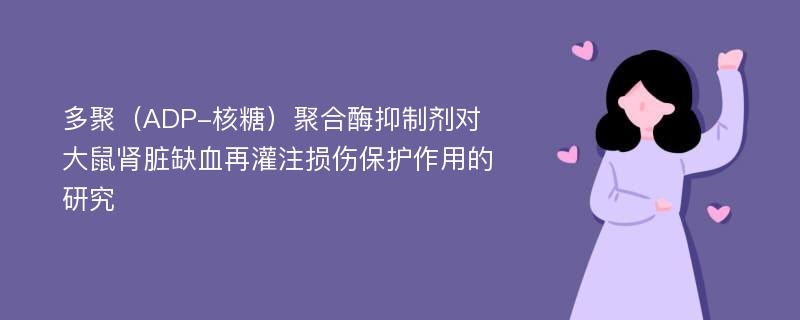 多聚（ADP-核糖）聚合酶抑制剂对大鼠肾脏缺血再灌注损伤保护作用的研究