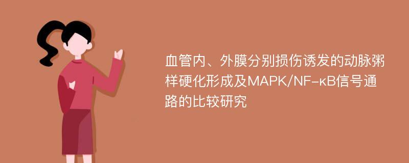 血管内、外膜分别损伤诱发的动脉粥样硬化形成及MAPK/NF-κB信号通路的比较研究