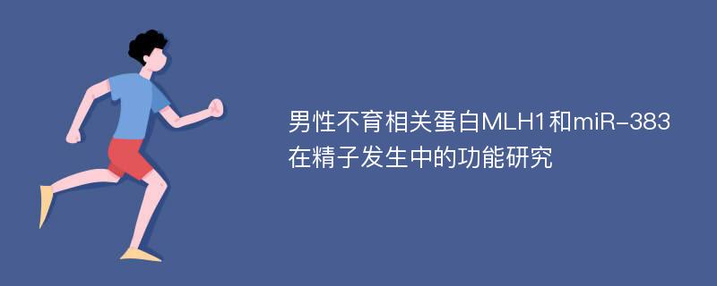 男性不育相关蛋白MLH1和miR-383在精子发生中的功能研究