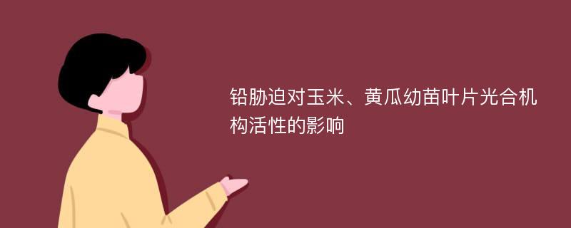 铅胁迫对玉米、黄瓜幼苗叶片光合机构活性的影响