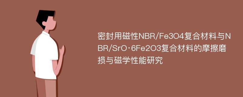 密封用磁性NBR/Fe3O4复合材料与NBR/SrO·6Fe2O3复合材料的摩擦磨损与磁学性能研究