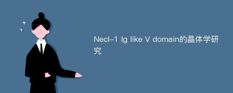 Necl-1 Ig like V domain的晶体学研究