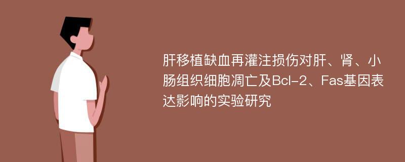 肝移植缺血再灌注损伤对肝、肾、小肠组织细胞凋亡及Bcl-2、Fas基因表达影响的实验研究