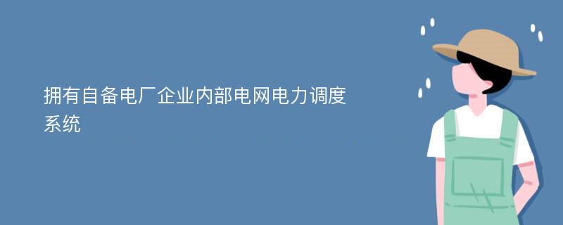 拥有自备电厂企业内部电网电力调度系统