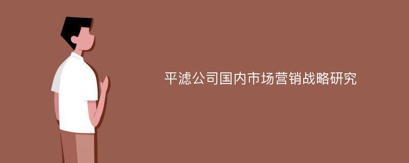 平滤公司国内市场营销战略研究