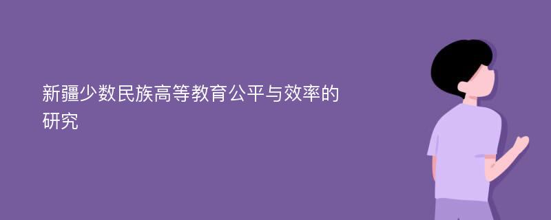 新疆少数民族高等教育公平与效率的研究