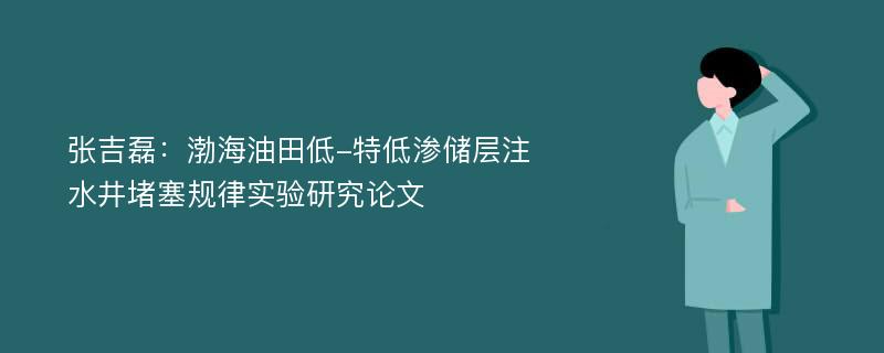 张吉磊：渤海油田低-特低渗储层注水井堵塞规律实验研究论文