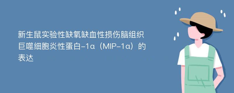 新生鼠实验性缺氧缺血性损伤脑组织巨噬细胞炎性蛋白-1α（MIP-1α）的表达