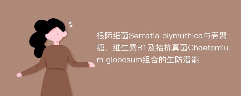 根际细菌Serratia plymuthica与壳聚糖、维生素B1及拮抗真菌Chaetomium globosum组合的生防潜能