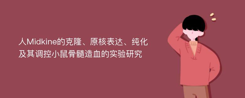 人Midkine的克隆、原核表达、纯化及其调控小鼠骨髓造血的实验研究