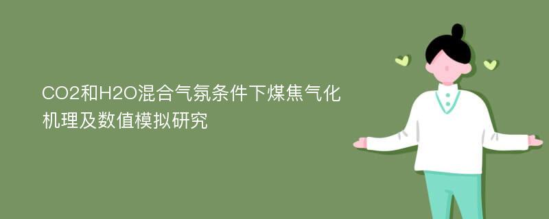 CO2和H2O混合气氛条件下煤焦气化机理及数值模拟研究