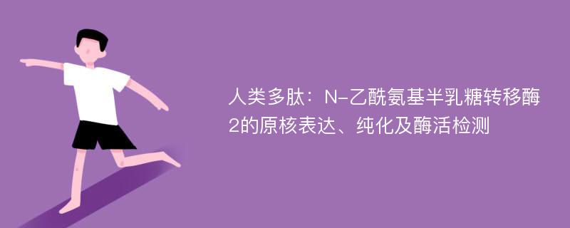 人类多肽：N-乙酰氨基半乳糖转移酶2的原核表达、纯化及酶活检测