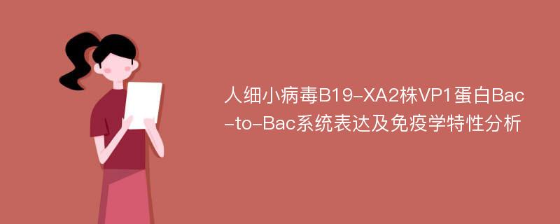 人细小病毒B19-XA2株VP1蛋白Bac-to-Bac系统表达及免疫学特性分析