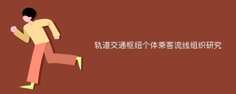 轨道交通枢纽个体乘客流线组织研究